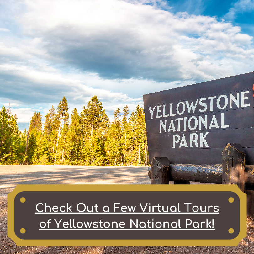 Yellowstone National Park Virtual Tours