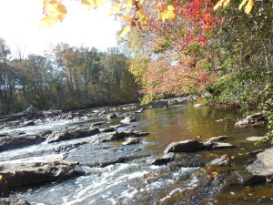 a view of the Haw River in the fall