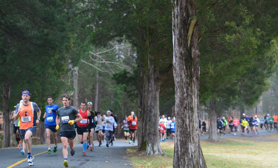 photo of runners from the 2014 Run at the Rock