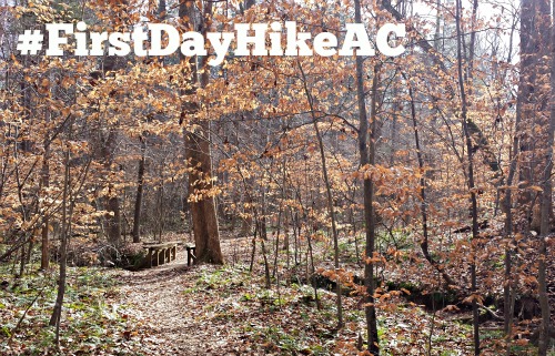 photo of trail at Cedarock Park with #FirstDayHikeAC