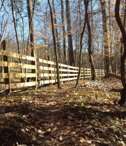 photo of trail and fence in the winter on the Sellers Falls section of the Haw River Trail