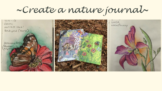 images from a nature journal