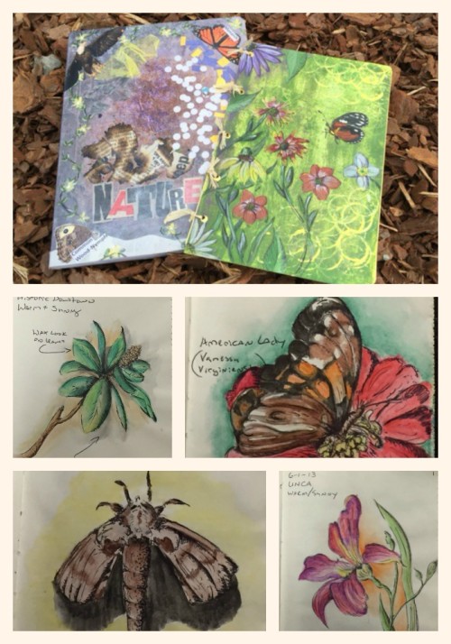photo collage of nature journal examples