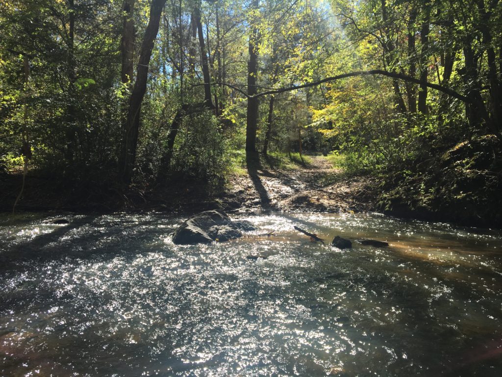 stream at Cedarock Park
