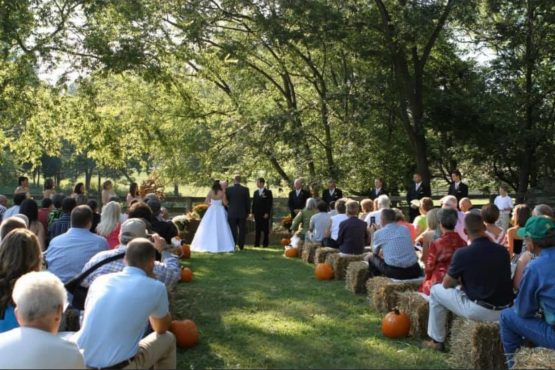 Cedarock Park Farm Wedding