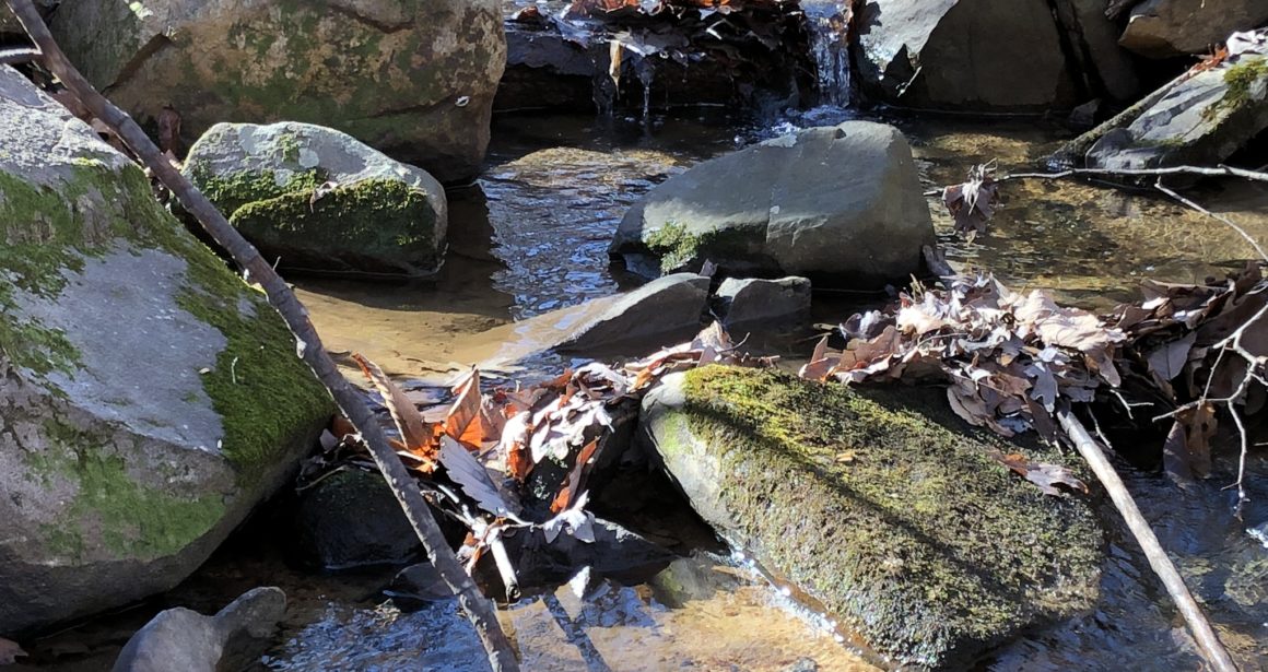 A stream and rocks at Cane Creek Mountains Natural Area