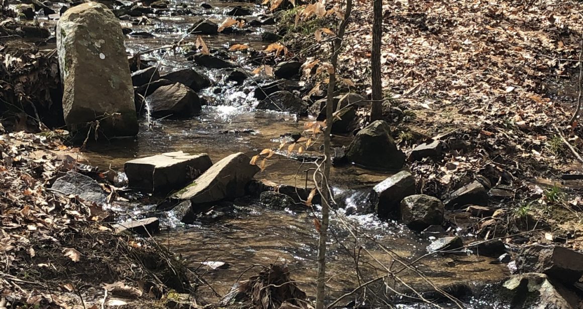 Stream in Winter at Cane Creek Mountains Natural Area