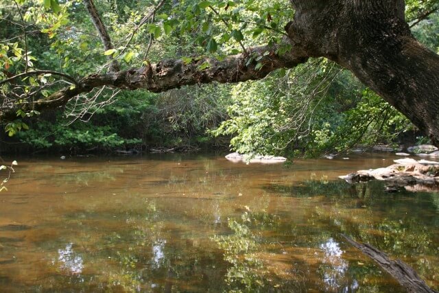 A view of the Haw River from Swepsonville River Park