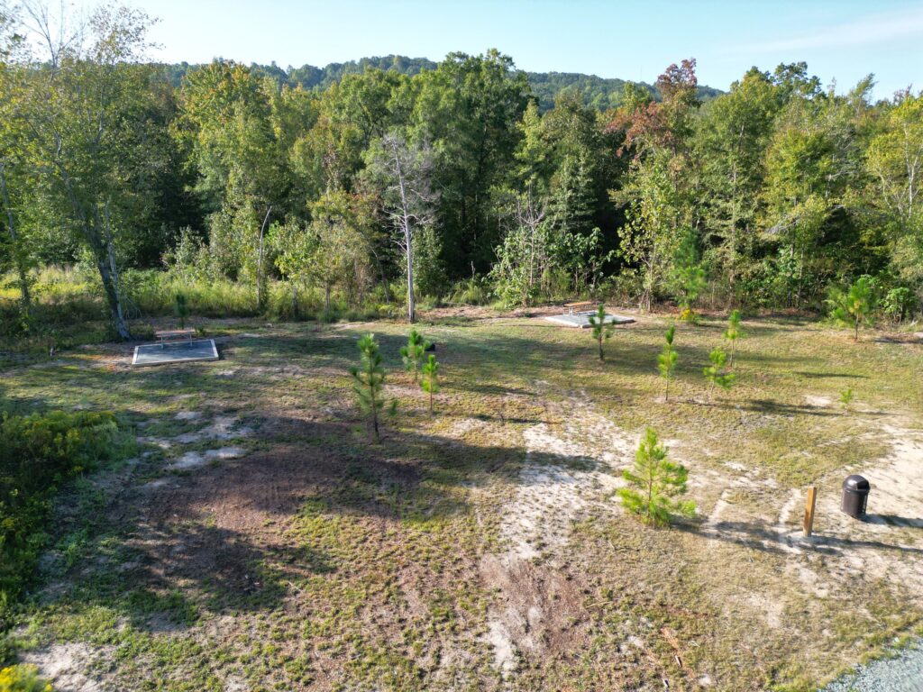 View of Cane Creek Mountains Natural Area - Campsite 2