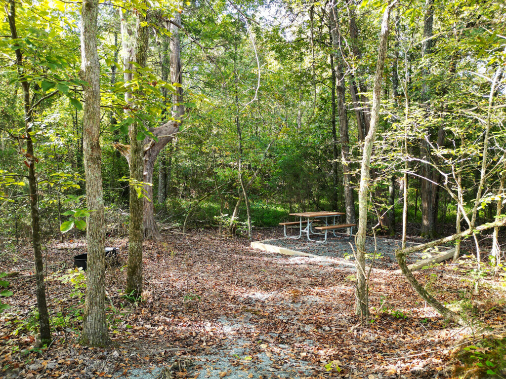 A view of the Cane Creek Mountains Natural Area campsites