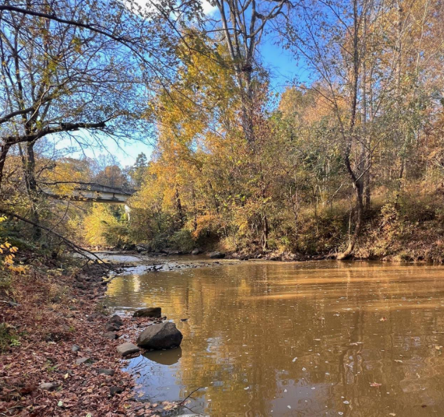 View from Great Alamance Creek along the Haw River Trail