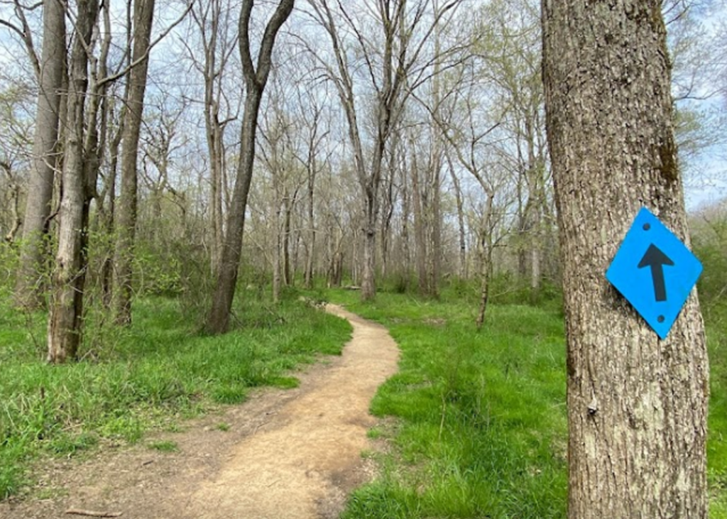 View of the Haw River Trail