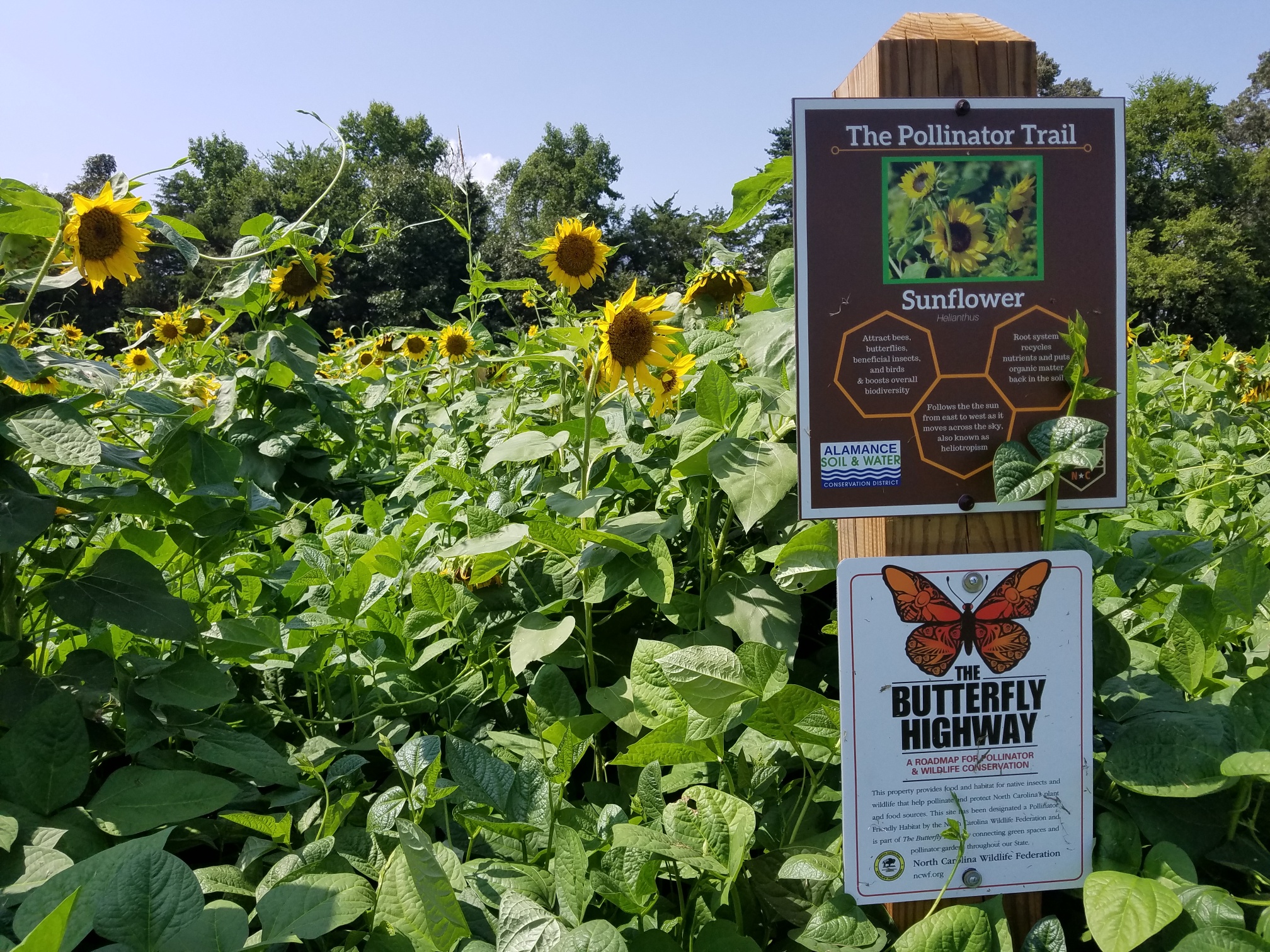 Butterfly Hwy sign Aug 16 2018